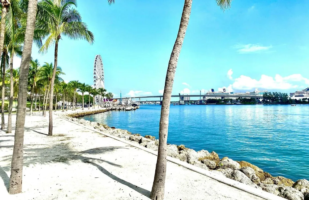 Atwell Suites Miami Brickell By Ihg-1